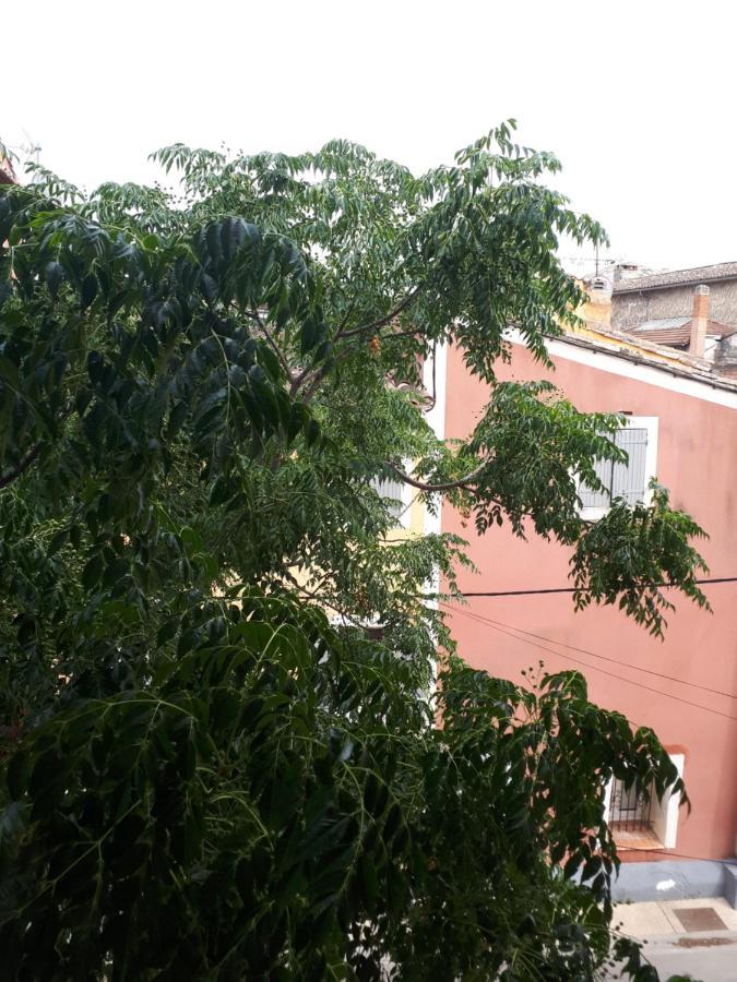 Le Petit Rochereau Lejlighed LʼIsle-sur-la-Sorgue Eksteriør billede